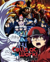 Khi các tế bào làm việc trong cơ thể trung niên BLACK Khi các tế bào làm việc trong cơ thể trung niên BLACK