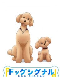 Tín Hiệu Cún Cưng Tín Hiệu Cún Cưng